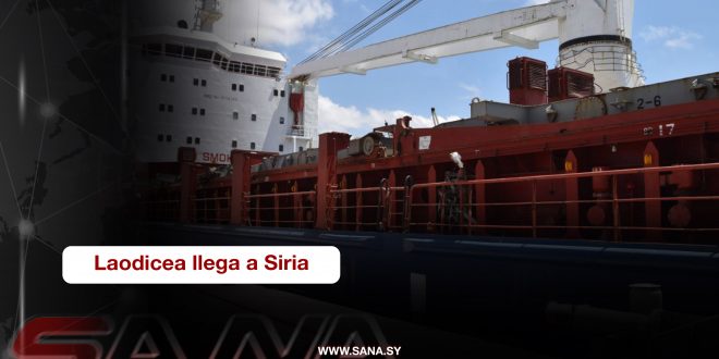 Comprobada falsedad de las acusaciones ucranianas contra el buque sirio Laodicea (video)
