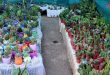 Сирийка воплотила в жизнь небольшой проект по выращиванию цветов