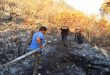 Тушение пожара на сельскохозяйственных угодьях в Шейх-Бадре и продолжение операций по охлаждению