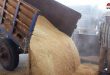 Al Bukemal’de Buğday Alım Merkezinin Açılması Çiftçilerin Yükünü Hafifletiyor