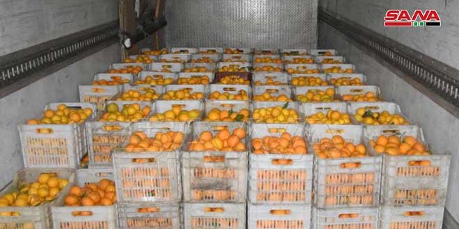 السورية للتجارة تستجر 65 طن حمضيات من طرطوس