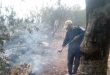إخماد حريق في بلدة جنينة رسلان بريف طرطوس