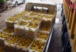 السورية للتجارة بطرطوس: تسويق 350 طناً من محصول الحمضيات