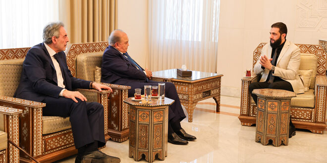 Leader al-Sharaa meets Syrian businessman Wafiq Rida Said