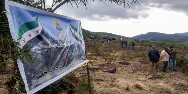 Afforestation campaign starts in northern countryside of Lattakia province