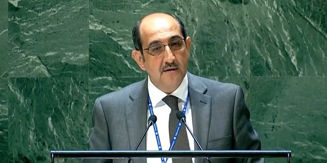 Sabbagh: poner fin a la ocupación y levantar las medidas coercitivas contribuye a enfrentar los desafíos de la migración
