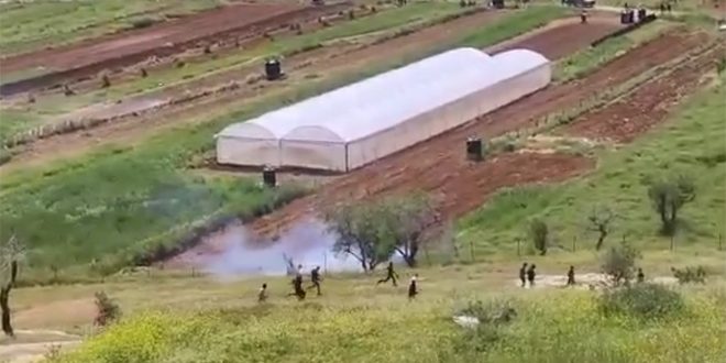 Joven palestino asesinado a tiros por fuerzas del ocupante israelí en Belén