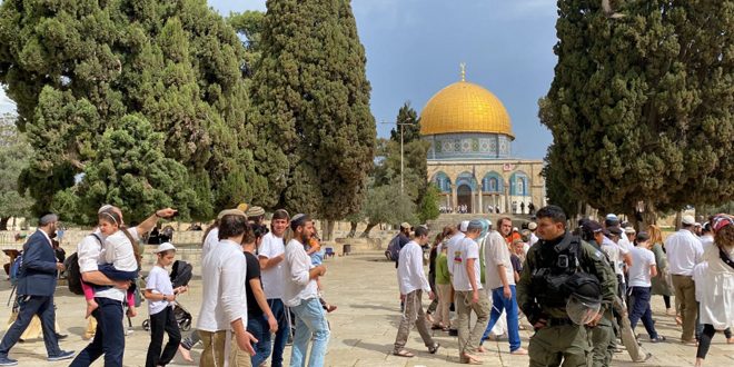 Más de mil colonos israelíes asaltan mezquita Al-Aqsa