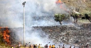 Colonos israelíes queman tierras palestinas en Naplusa