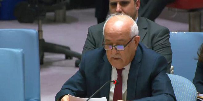 Mansour: la ONU fracasó rotundamente en parar genocidio israelí contra el pueblo palestino