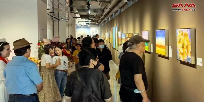 نمایشگاه هنرمند سوری ولید علی و چهره رسانه ای فیروز نصر در نانجینگ چین