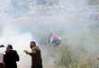 جراحت ده های فلسطینی بر اثر سرکوب تظاهرات هفتگی بیت دجن توسط نیروهای اشغالگر