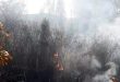 اطفای یک آتش سوزی در حومه شهر لاذقیه ناشی از سقوط خمپاره شلیک شده توسط گروه های تروریستی