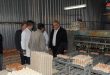 بازدید وزیر کشاورزی از واقعیت کار در واحد مرغداری صیدنایا