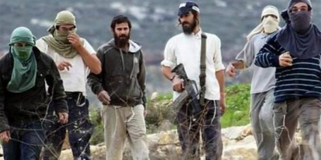 מתנחלים תקפו פלסטינים ורכושם בערים קלקיליה ורמאללה