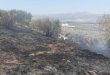 В провинции Тартус потушены четыре пожара в лесных массивах и на оливковых плантациях