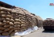 إكثار البذار في درعا تضع خطة لإنتاج 13 ألف طن من القمح و500 من الشعير