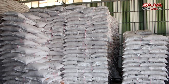 بيع أكثر من 23 ألف طن من بذار القمح للفلاحين والجمعيات في حماة ودرعا